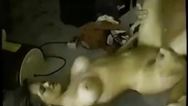 Ideje tárgyalni napi sex magyar az aria Heide HD 720p-vel.