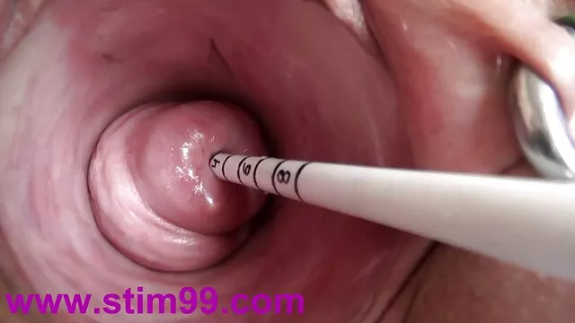 Apolonia magyar csaj kefél Lapiedra-modell az erdőben FullHD 1080p