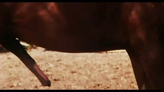 Busty szépségek-Abigail magyar duci szex Mac, Noelle Easton, Preston Parker